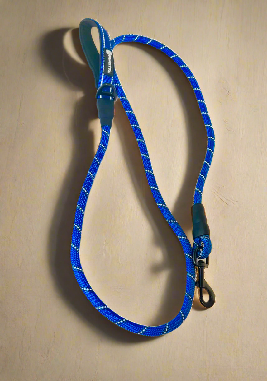 Reflective Rope Leash