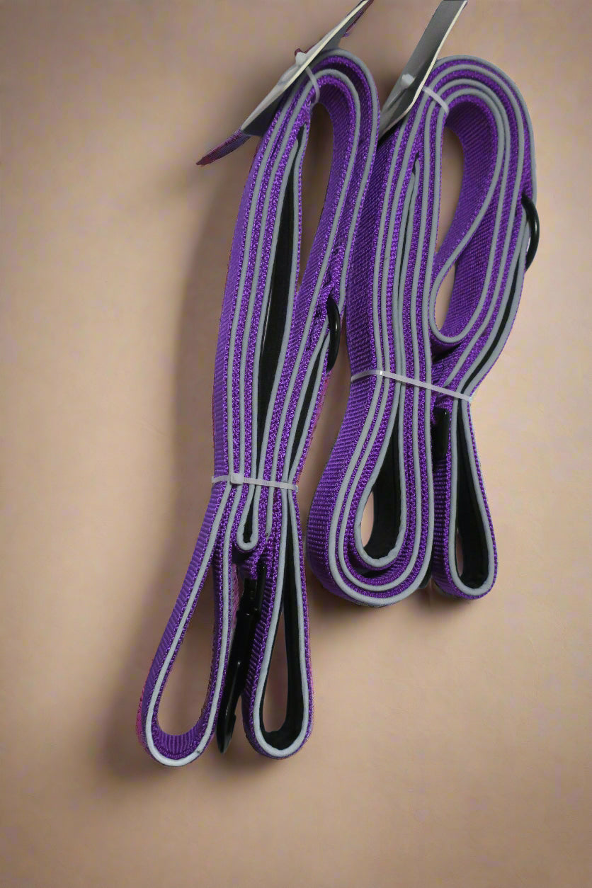 Dual Handle Leash