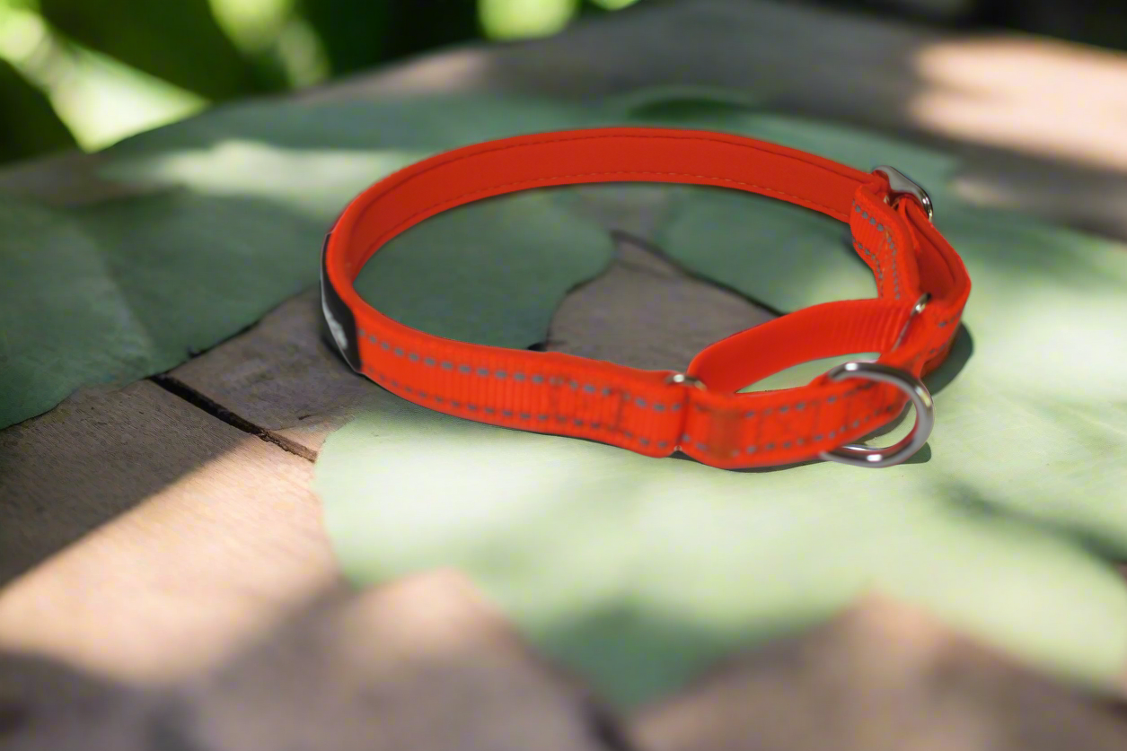 Martingale Collar