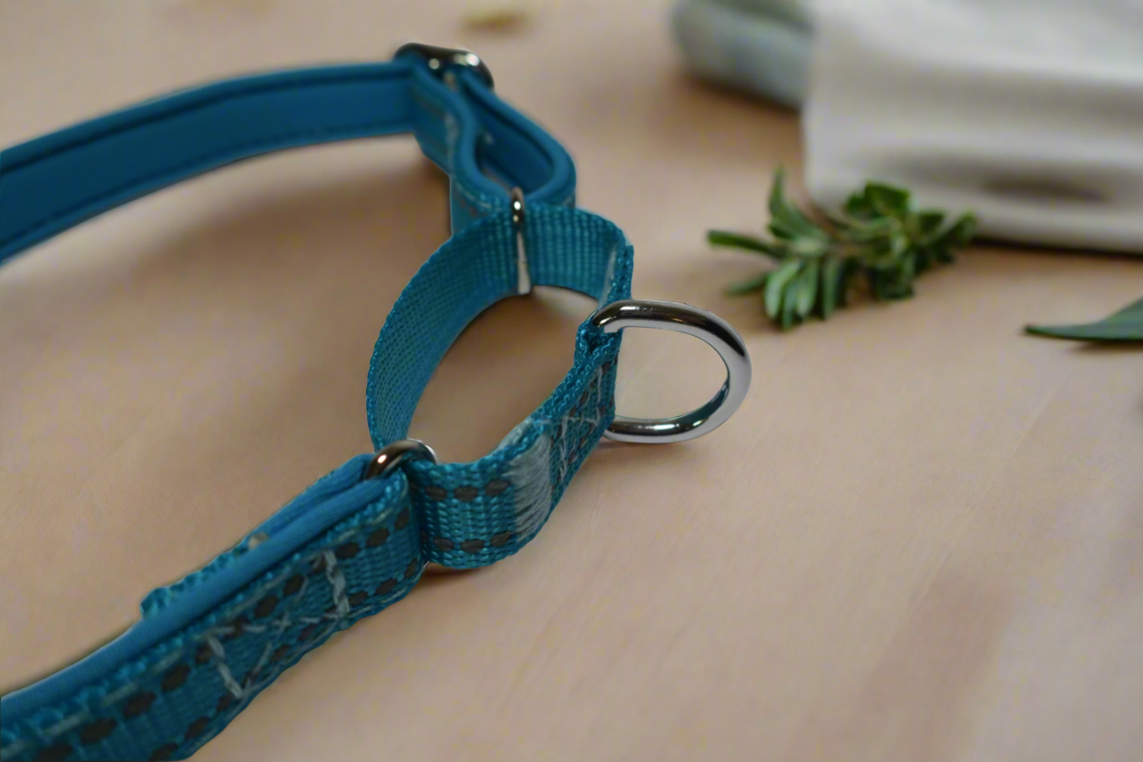 Martingale Collar