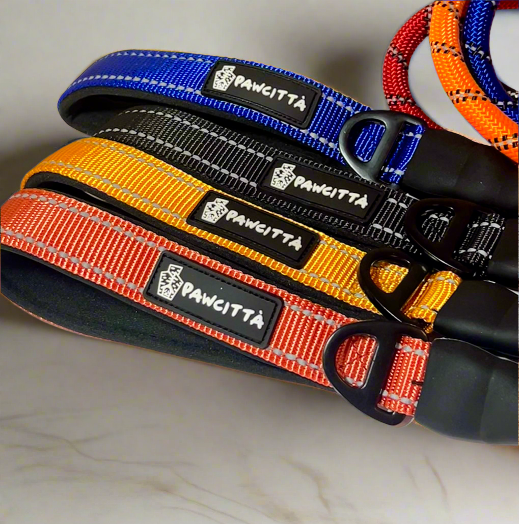 Reflective Rope Leash