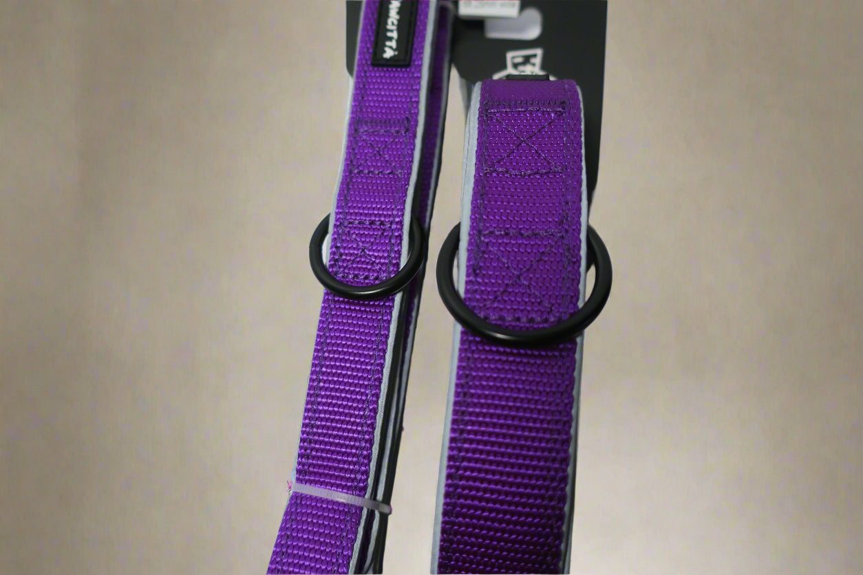 Dual Handle Leash