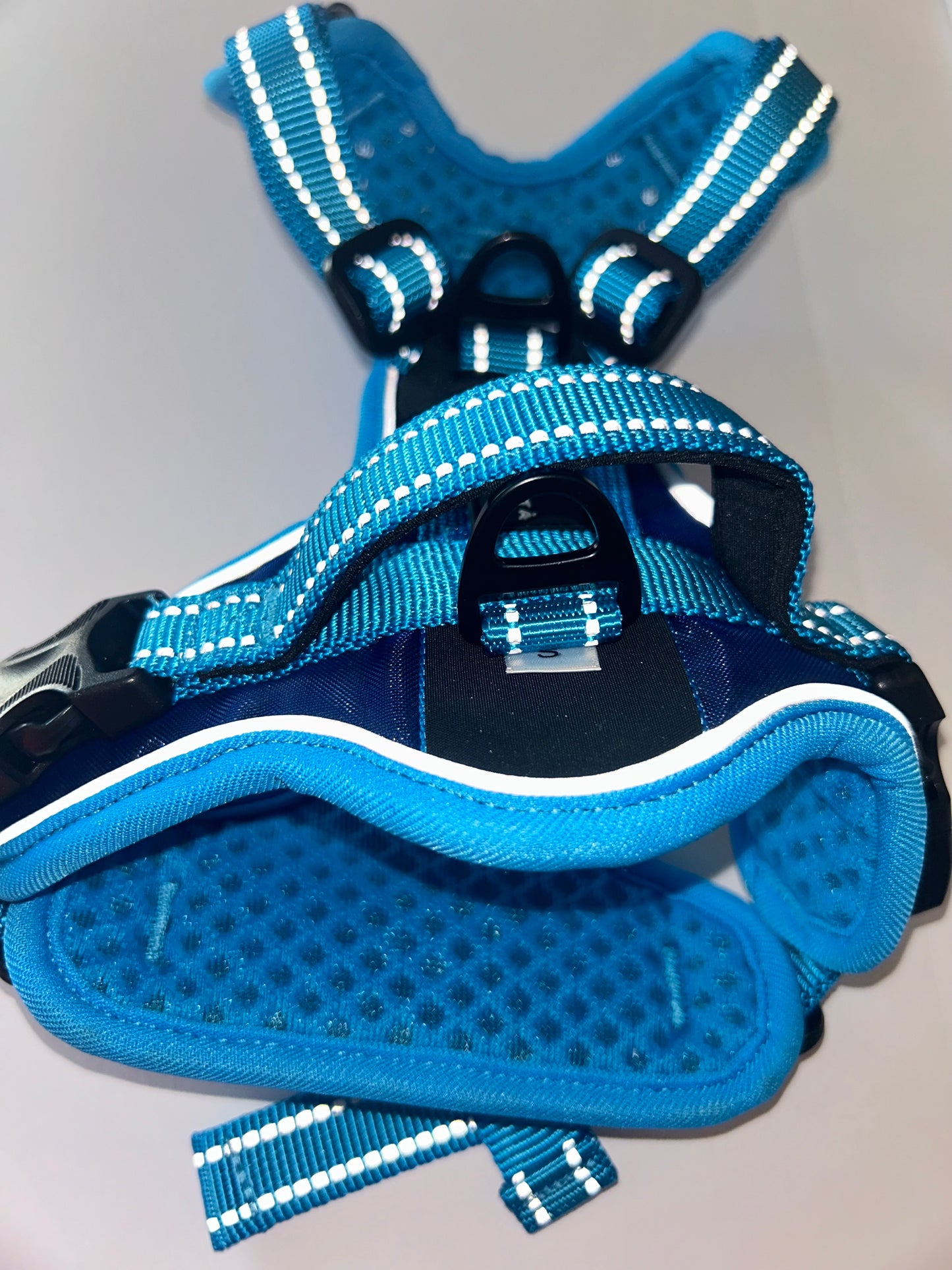 D3 Night Harness