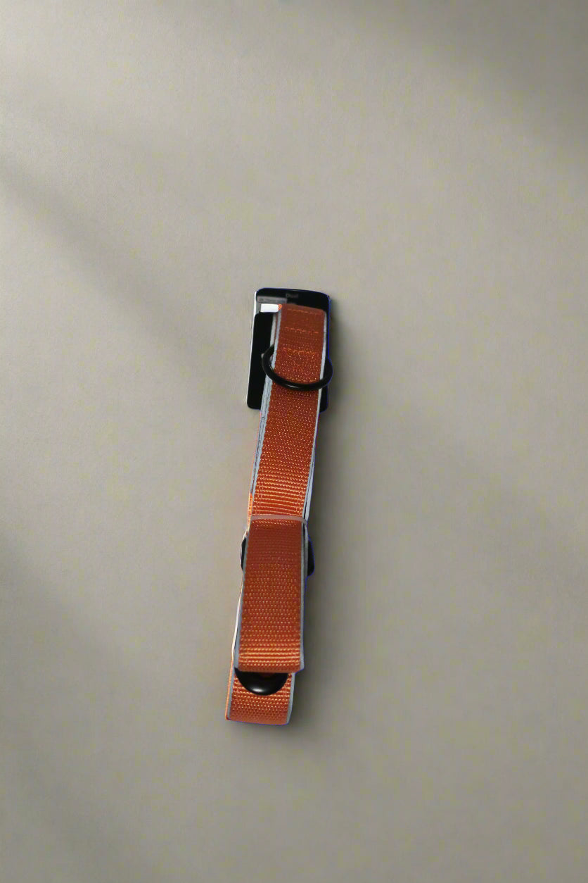 Dual Handle Leash