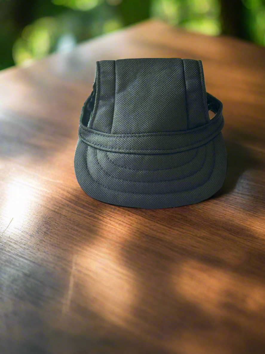 Pet Hat