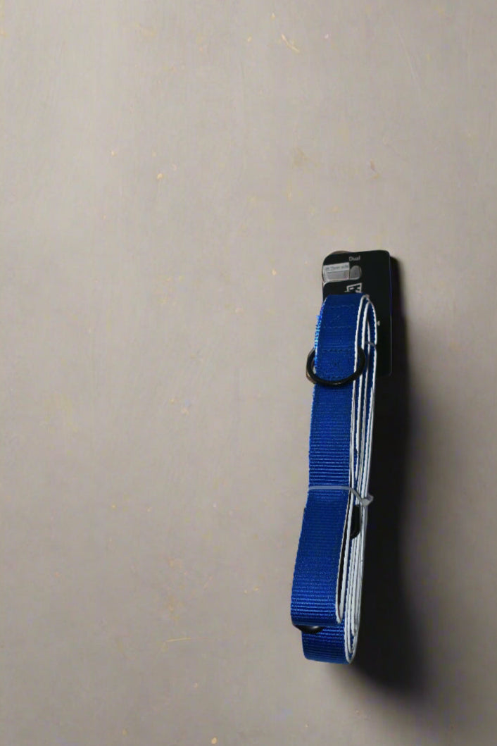 Dual Handle Leash