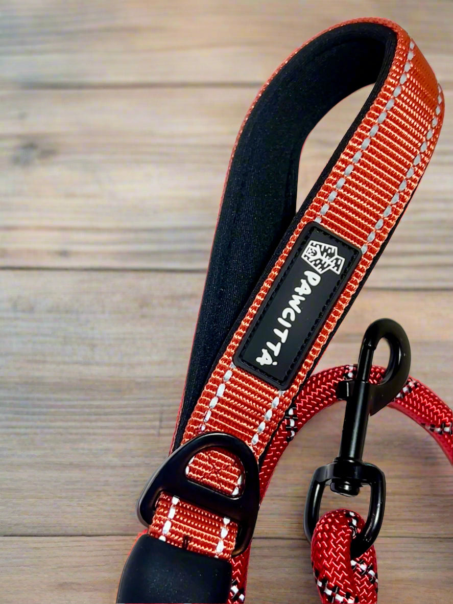 Reflective Rope Leash