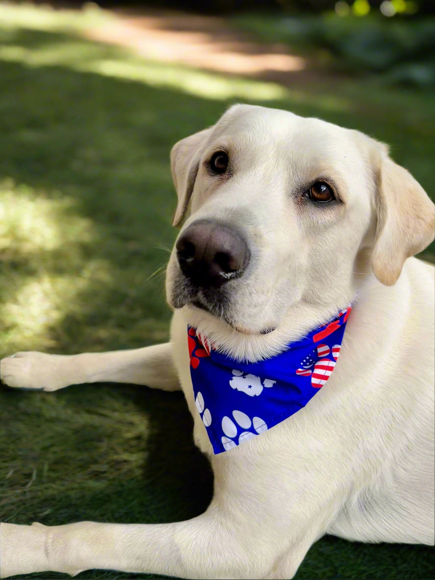 Graphic Bandanas