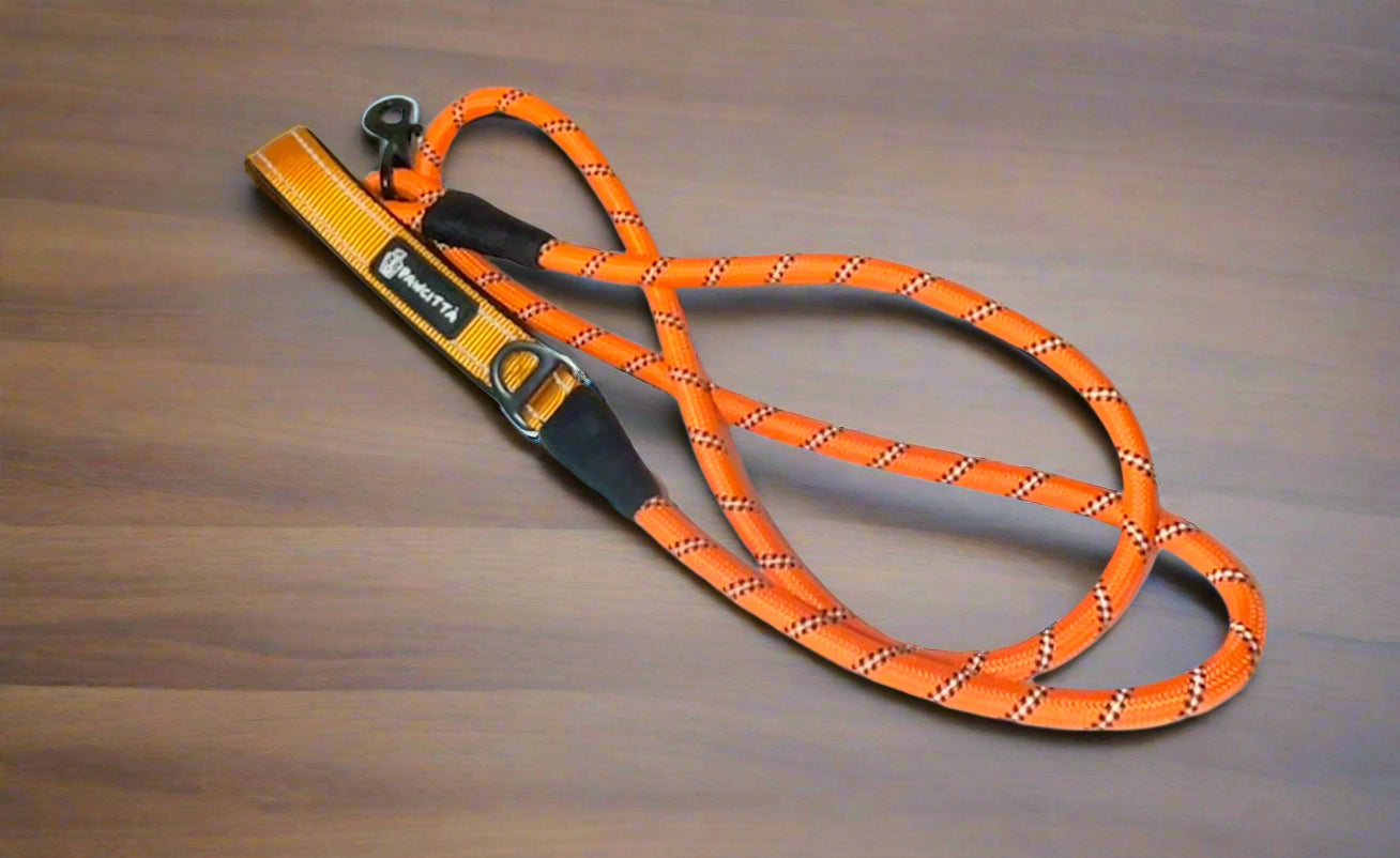 Reflective Rope Leash