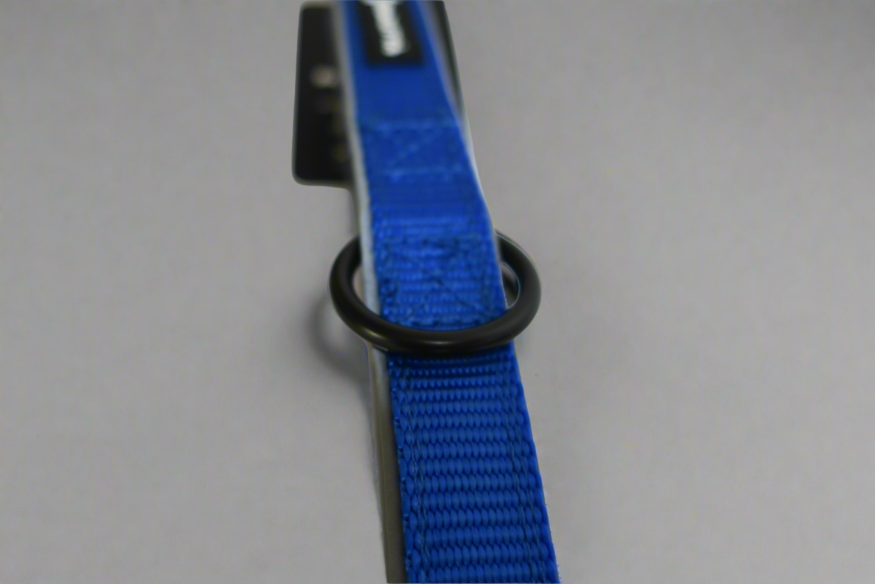 Reflective Leash