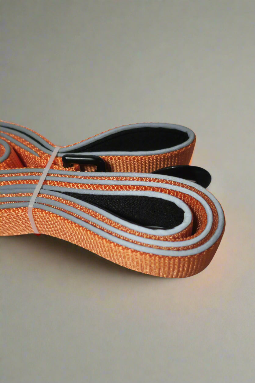 Dual Handle Leash
