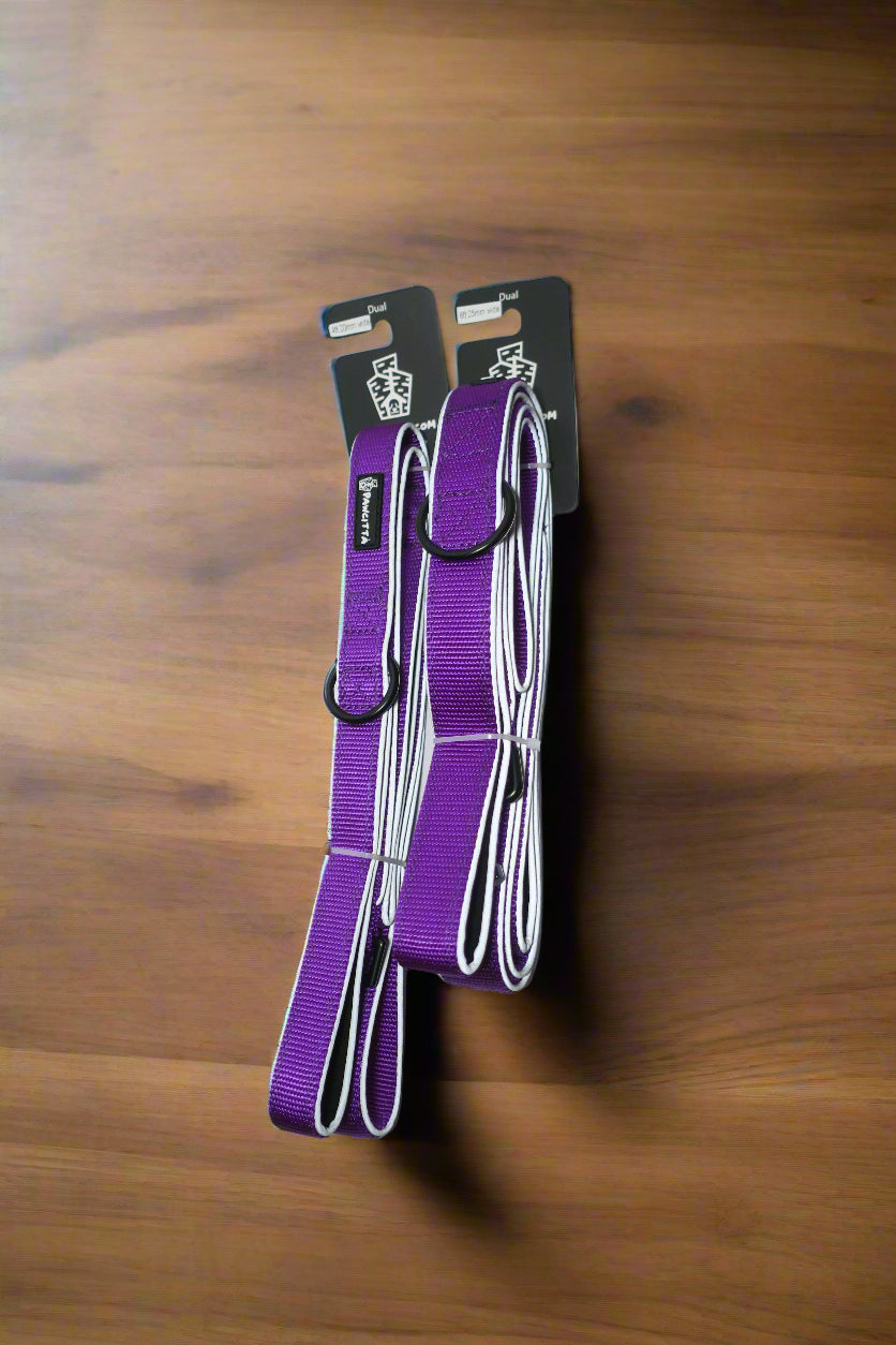 Dual Handle Leash