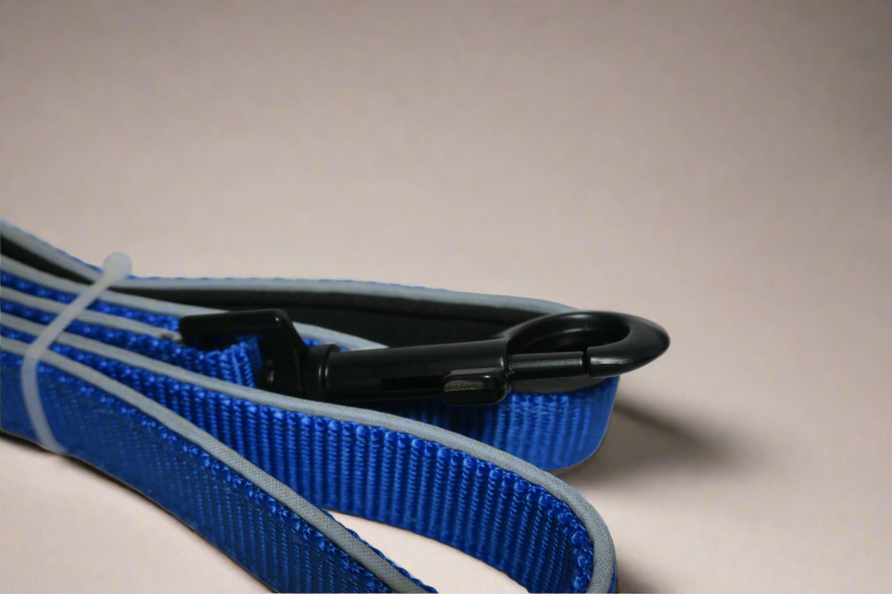 Reflective Leash