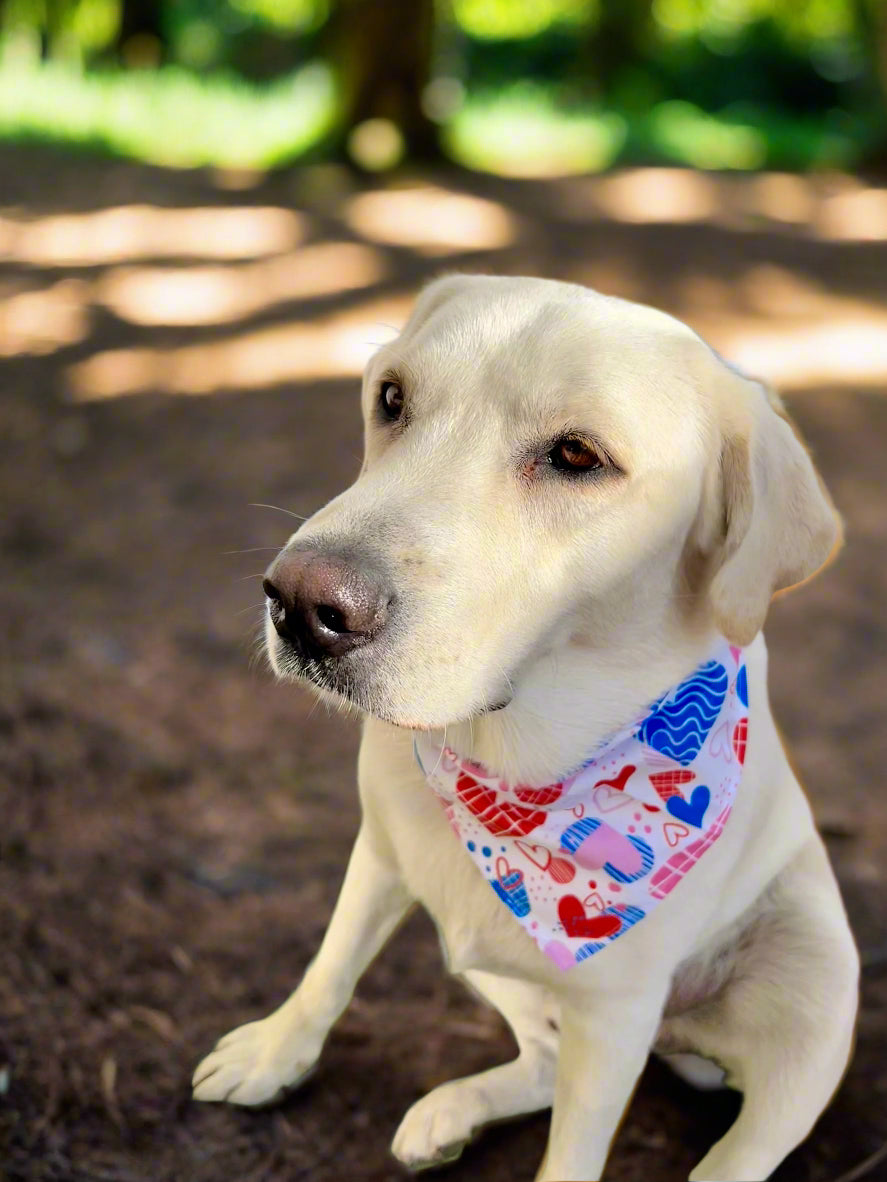Graphic Bandanas