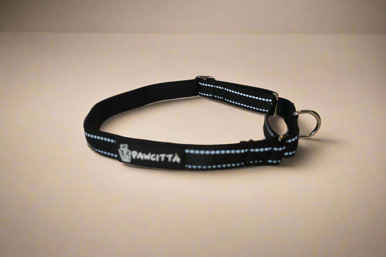 Martingale Collar