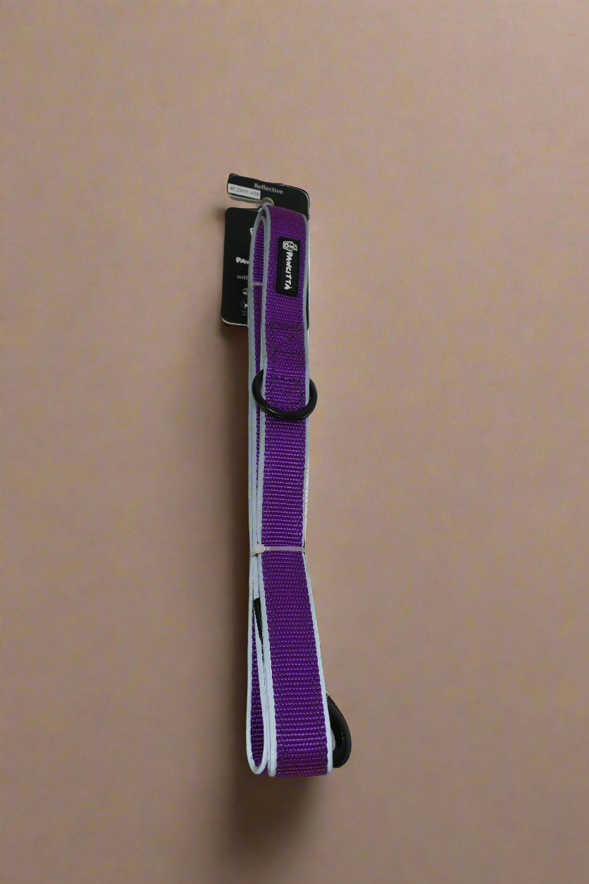 Reflective Leash