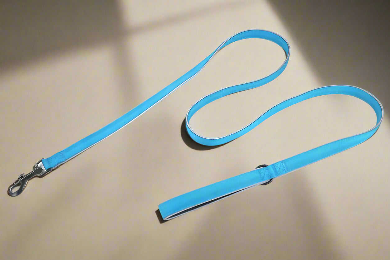 Reflective Leash