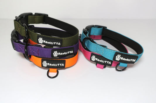 Exciting Updates for Tiny Trekker Enthusiasts
