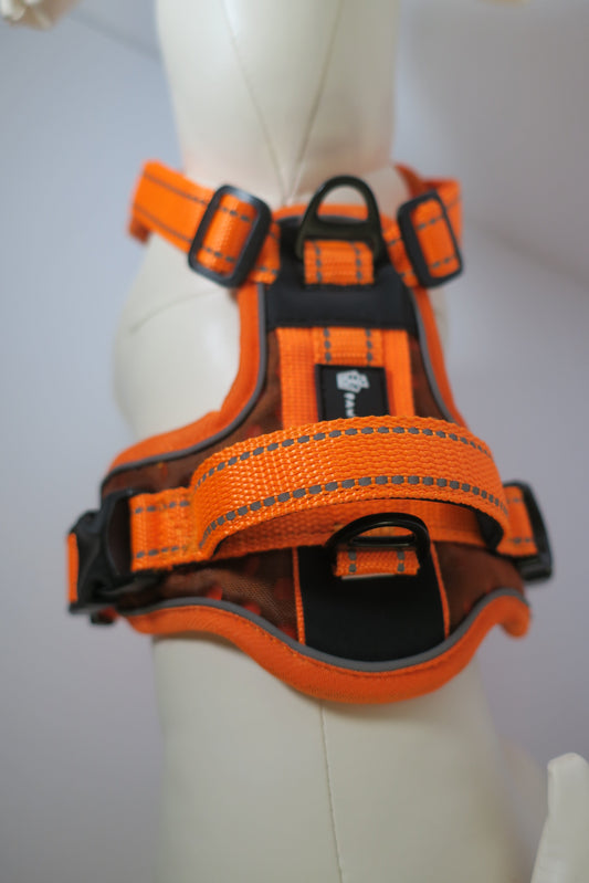 D3Night Harness