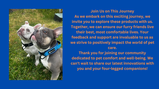 Our Commitment to Pet Comfort