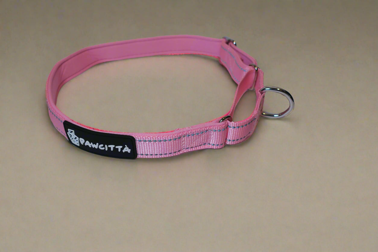 Martingale Collar