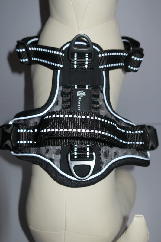 D3 Night Harness