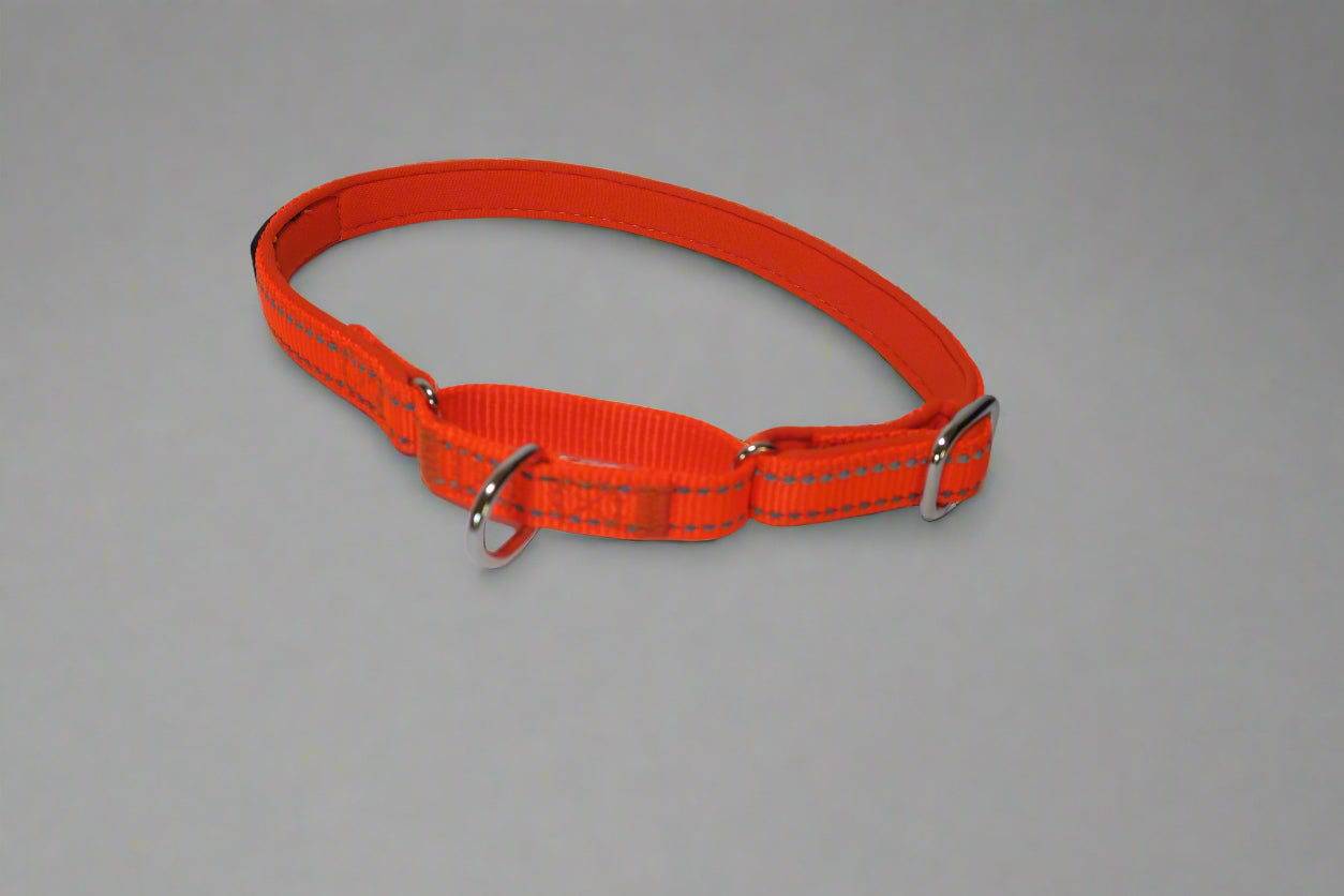 Martingale Collar