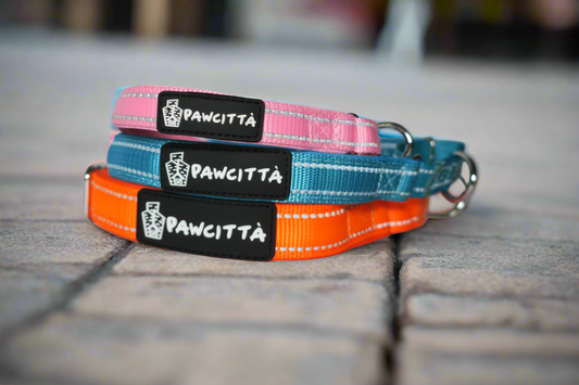 Martingale Collar
