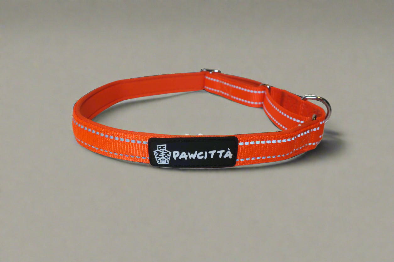 Martingale Collar