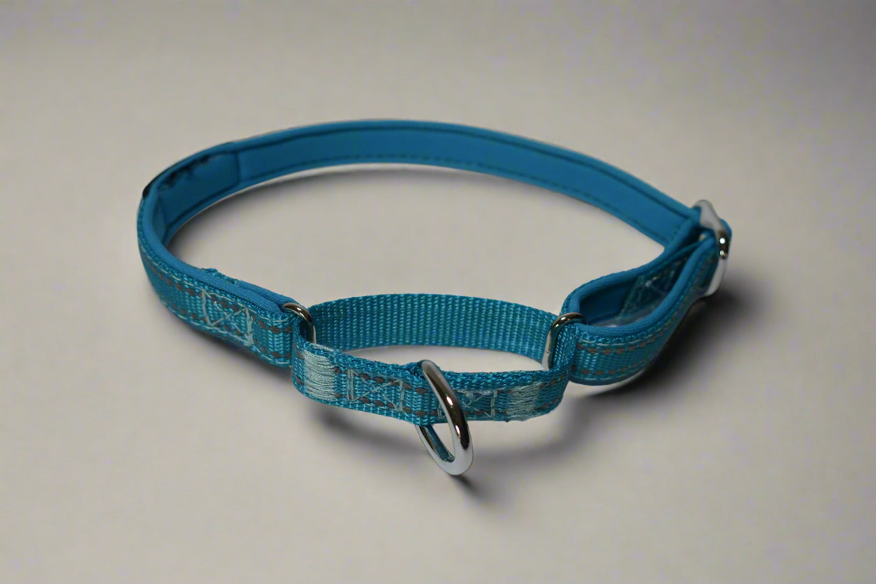 Martingale Collar