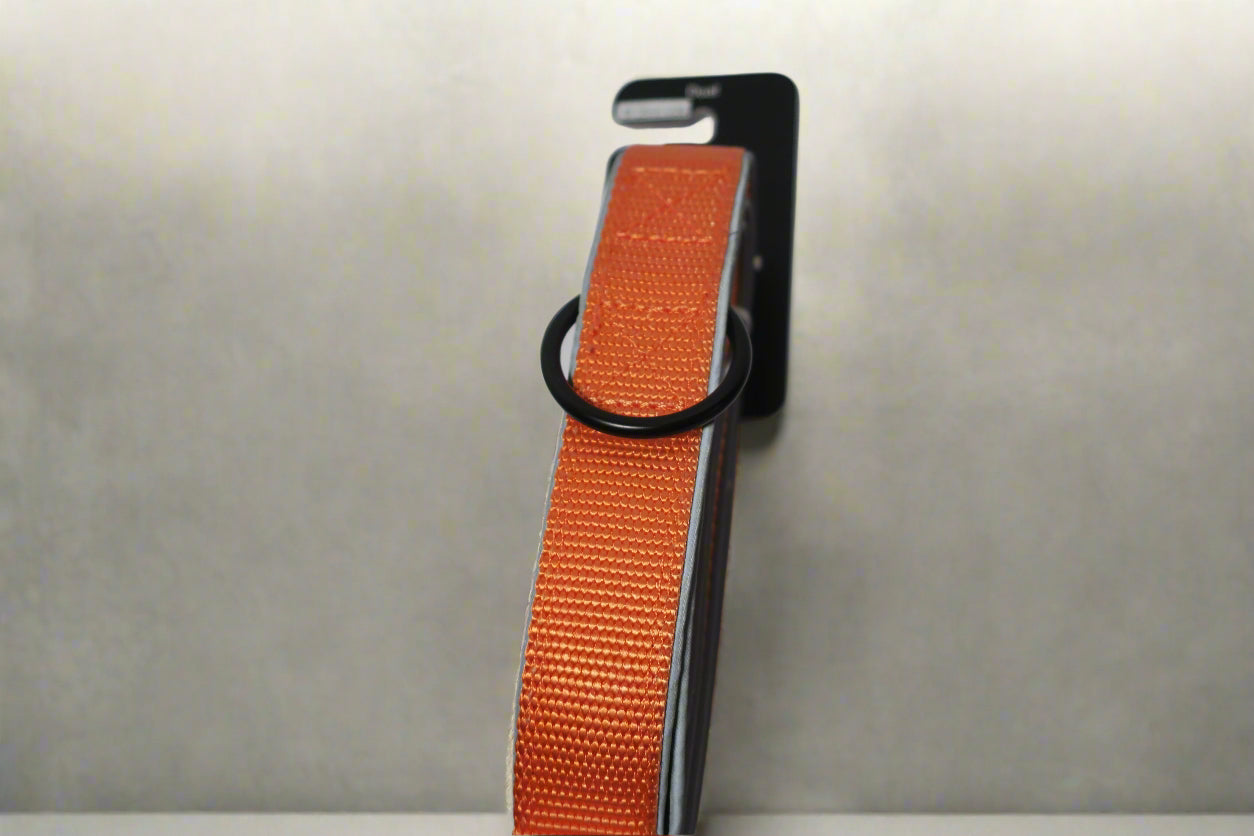 Dual Handle Leash
