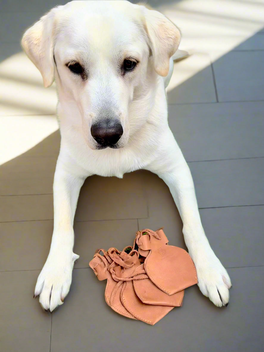 Paw Covers