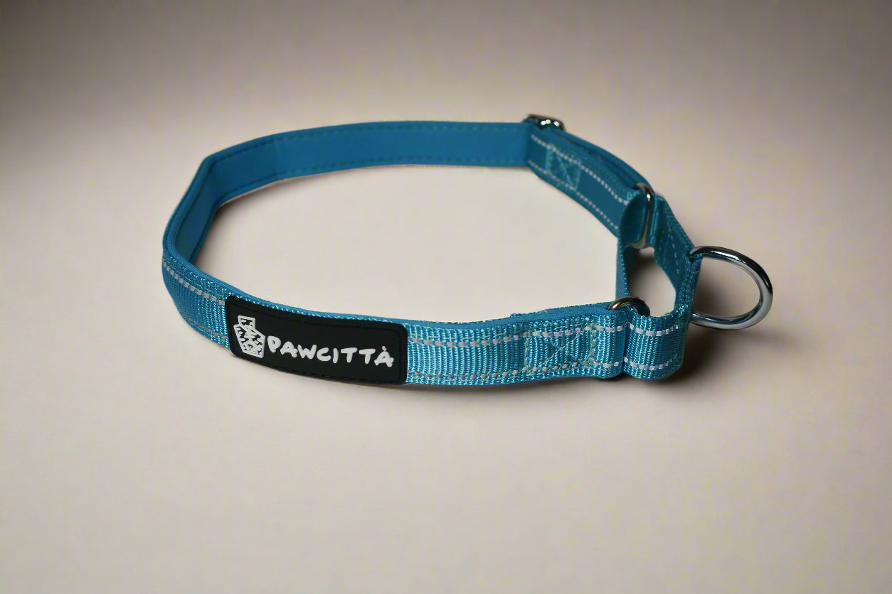 Martingale Collar